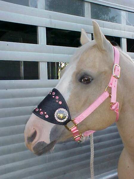 Pink Bronc Halter with Silver and Gold Barrel Racing Conchos with Pink Swarovski Crystal Conchos-Bling-