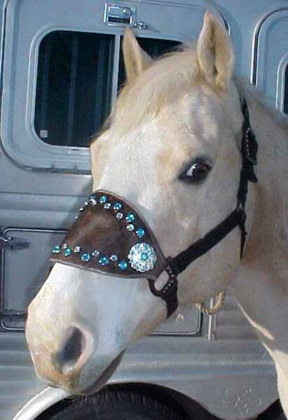 Bronc Halter-Crystal Conchos-Teal Swarovski Crystals-